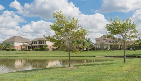 Pearland Pressure Washing